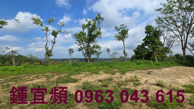 新竹農地-1