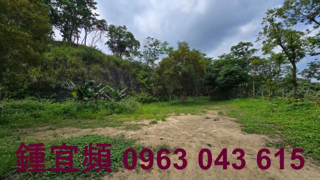 新竹農地-3
