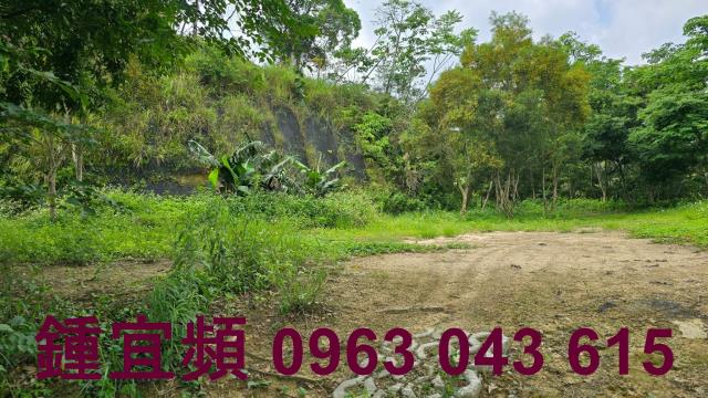 新竹農地-4