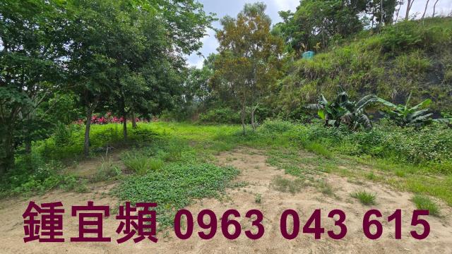 新竹農地-8
