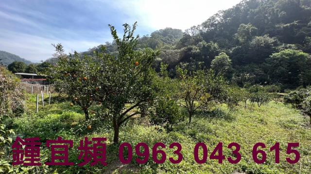 芎林農地-11