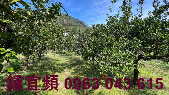芎林農地-14