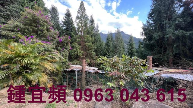 新竹北埔農地-9