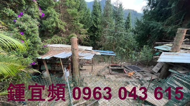 新竹北埔農地-10