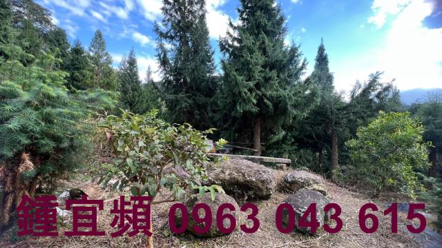 新竹北埔農地-11