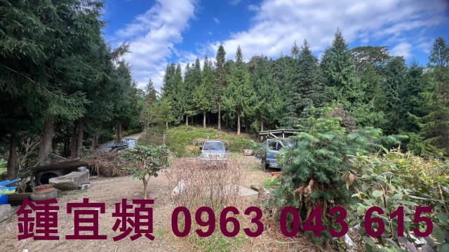 新竹北埔農地-12