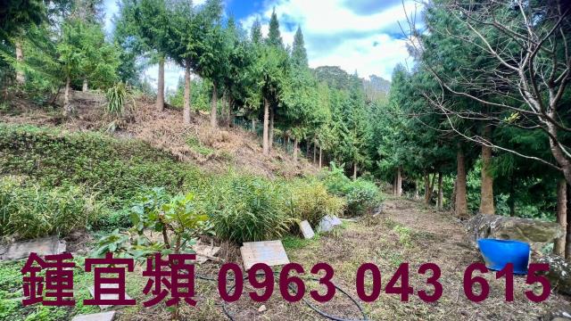 新竹北埔農地-13