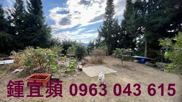 新竹北埔農地-2
