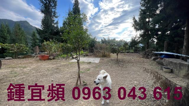 新竹北埔農地-3