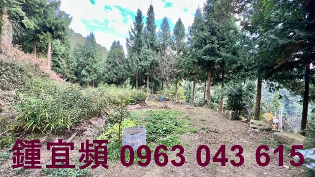 新竹北埔農地-6