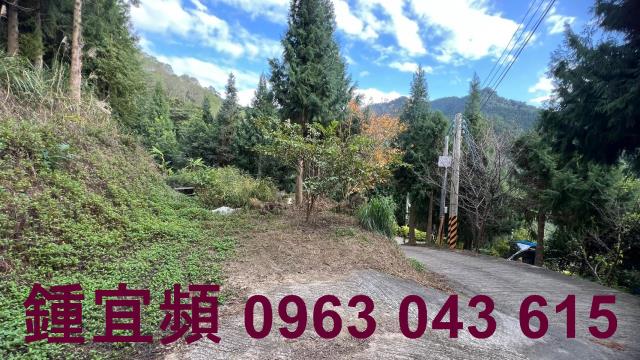 新竹北埔農地-7