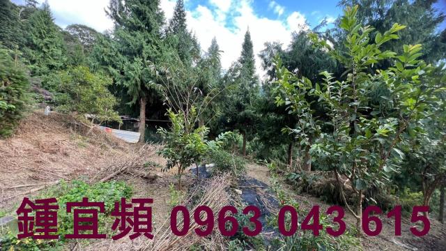 新竹北埔農地-8