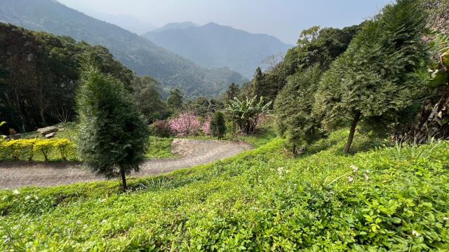 北埔農地-9