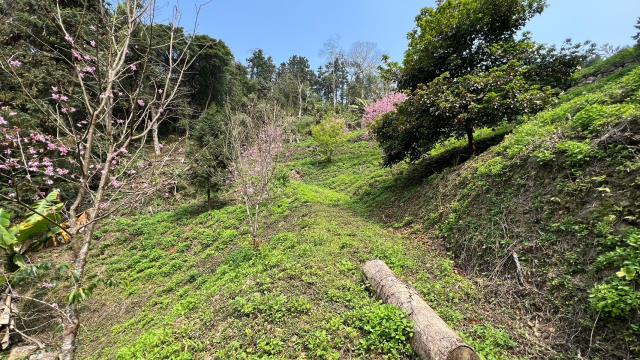 北埔農地-13