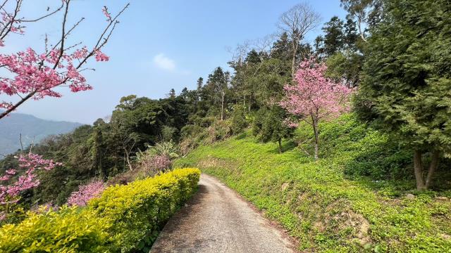 北埔農地-14