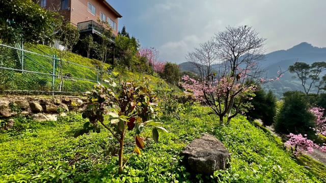 北埔農地-1