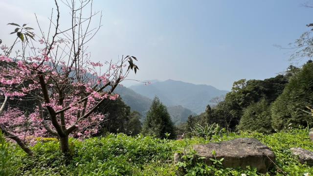 北埔農地-2