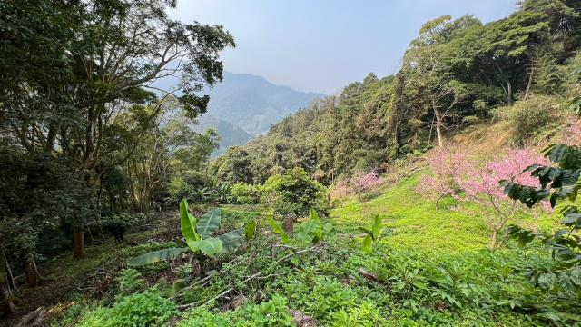 北埔農地-5