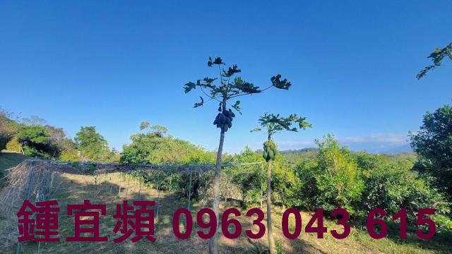 苗栗農地-9