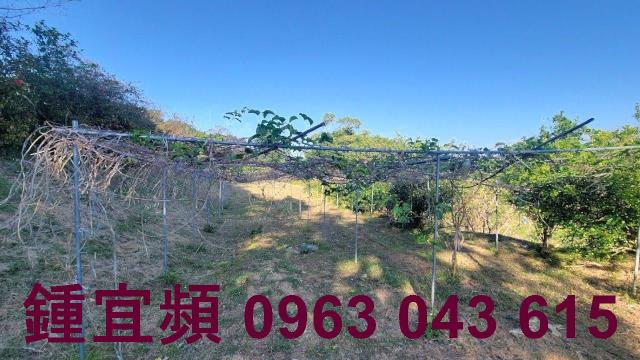 苗栗農地-10