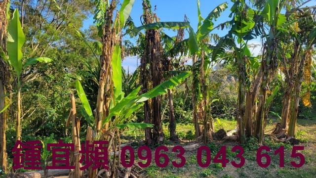 苗栗農地-11