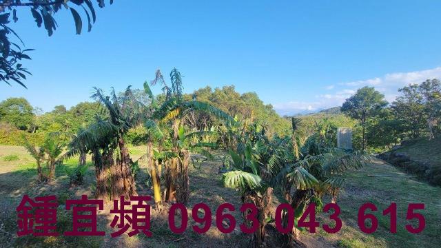 苗栗農地-14