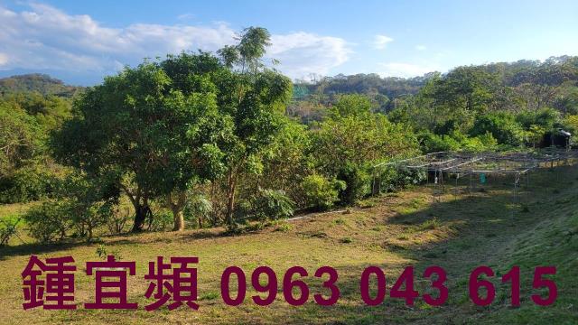 苗栗農地-1