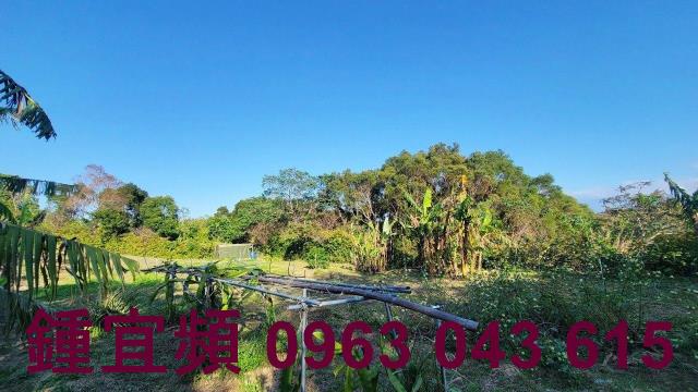 苗栗農地-3