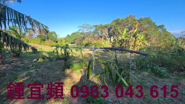 苗栗農地-4