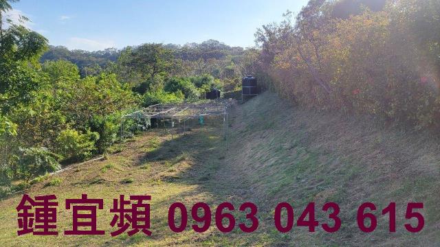 苗栗農地-5