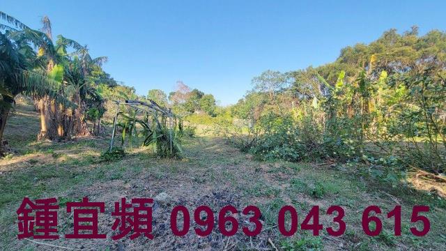 苗栗農地-6