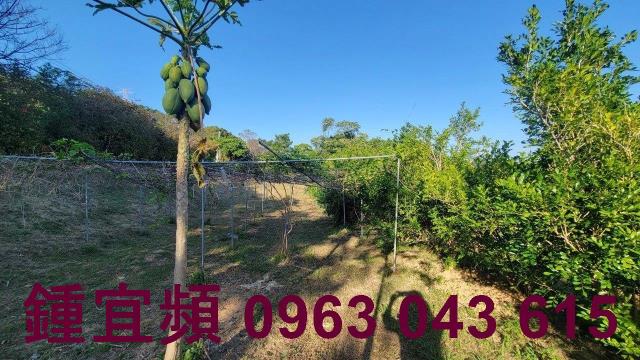 苗栗農地-8