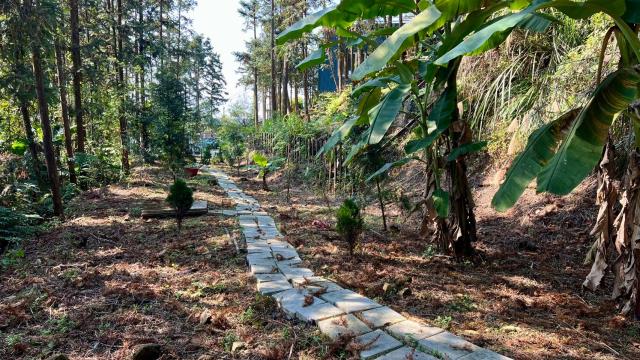 新竹北埔山坡地-11