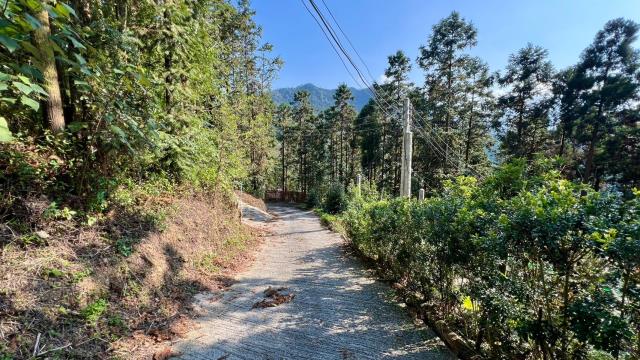 新竹北埔山坡地-14