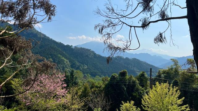 新竹北埔山坡地-2