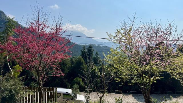 新竹北埔山坡地-3