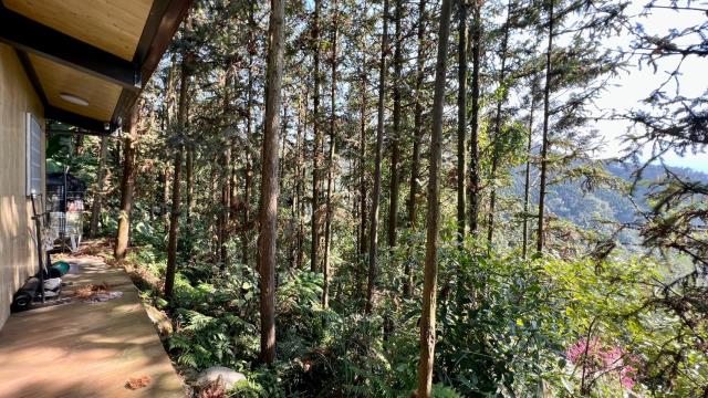 新竹北埔山坡地-5