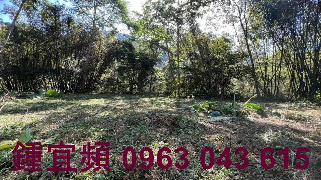 新竹農地-11