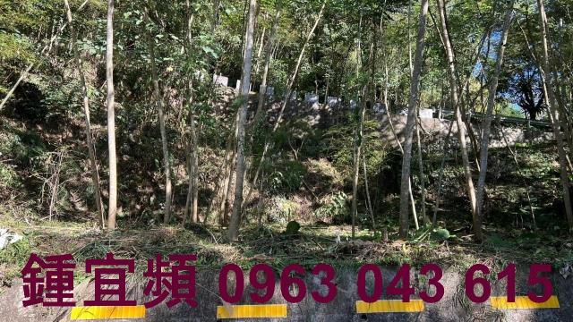 新竹農地-1