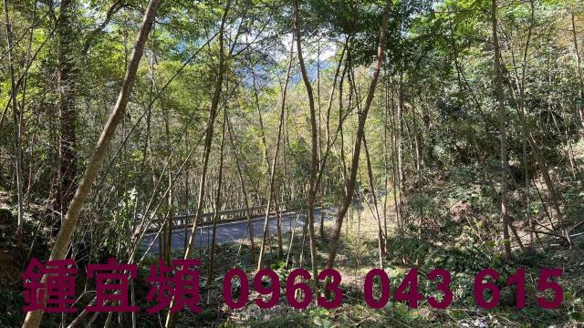 新竹農地-5