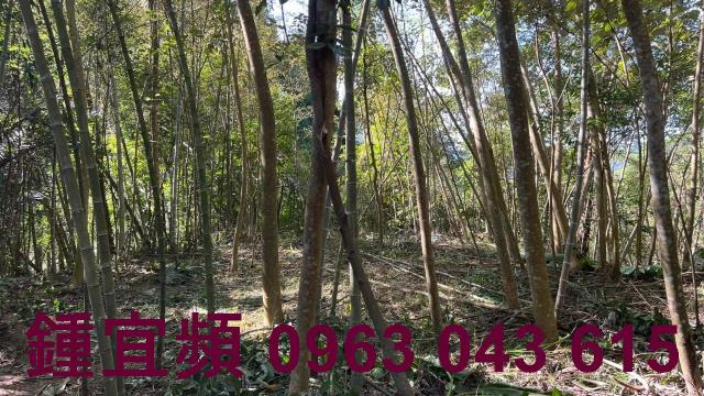 新竹農地-6