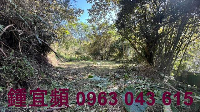新竹農地-8