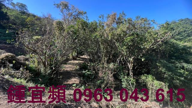 新竹農地-4