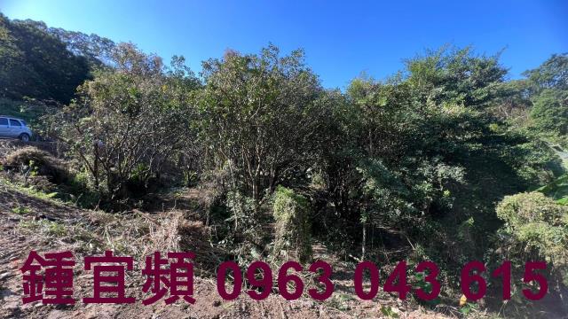 新竹農地-5