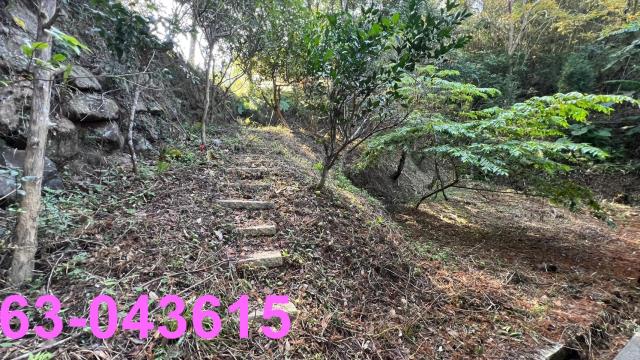 北埔農地-10