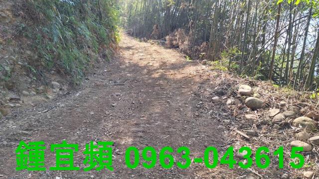 新竹山坡地-0
