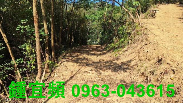 新竹山坡地-3