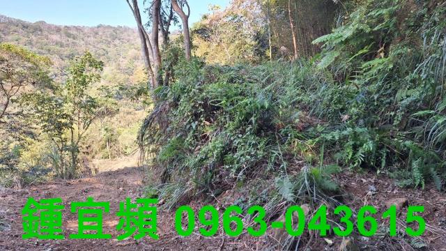 新竹山坡地-4