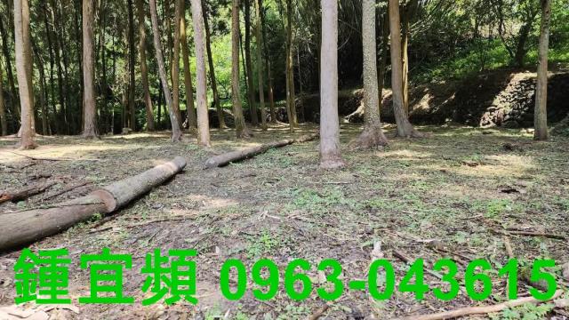 新竹北埔農地-9