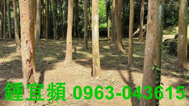 新竹北埔農地-10